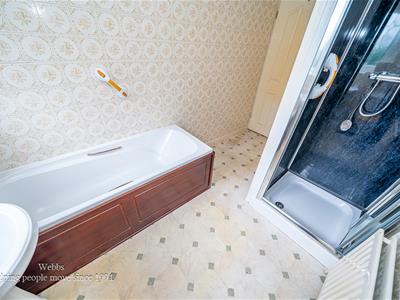 Picture 24